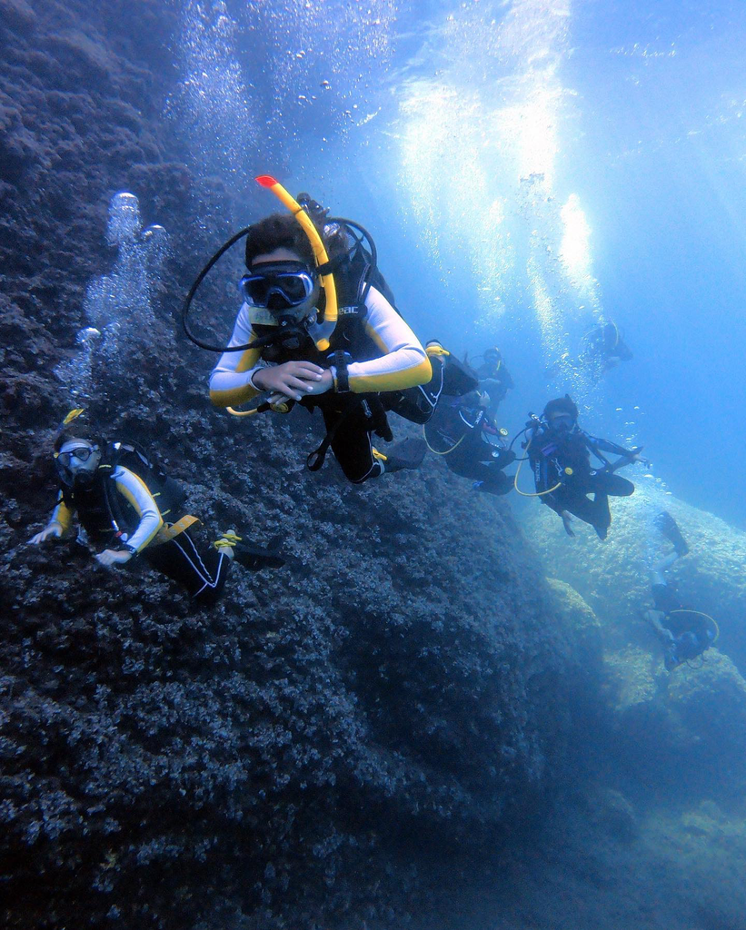 PADI Open Water Diver (OWD)