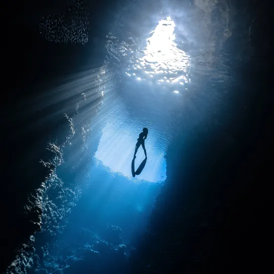 PADI Freediver Instructor (Main Course)