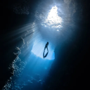 PADI Freediver Instructor