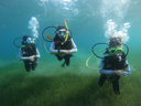 PADI Discover Scuba Diving (DSD)