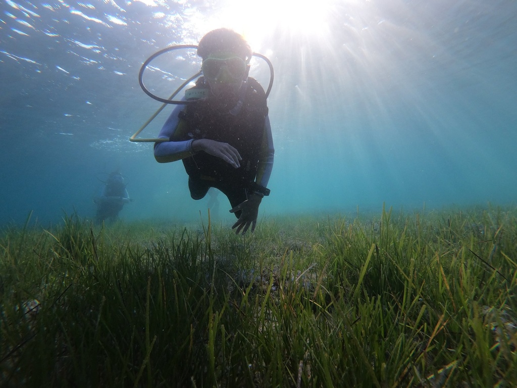 PADI Discover Scuba Diving