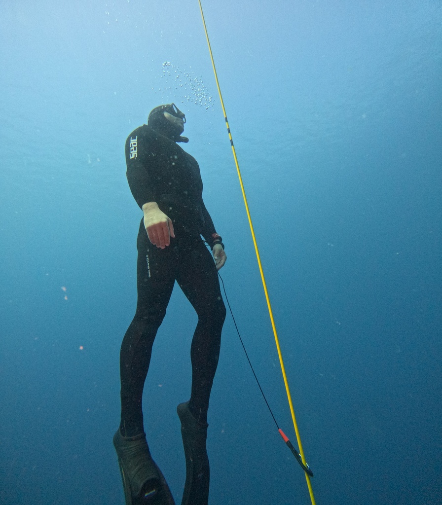 PADI Freediver Instructor