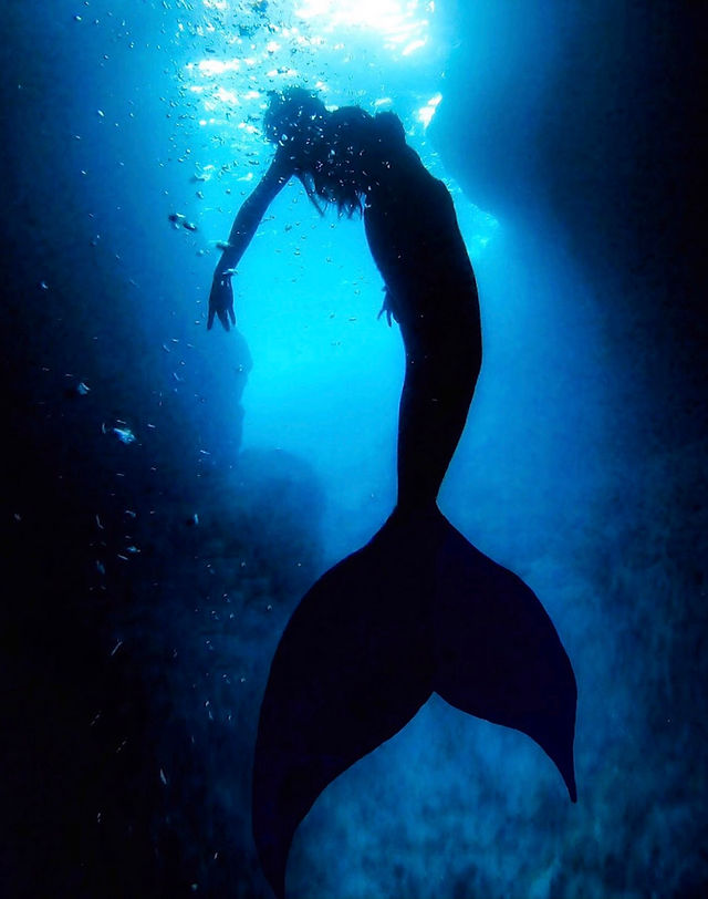 PADI Mermaid Instructor